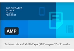 Installing AMP in WordPress